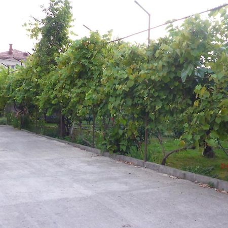 Guest House U Aleny Gagra Exterior photo