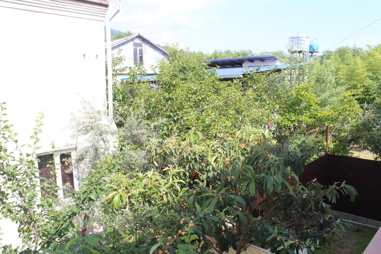 Guest House U Aleny Gagra Exterior photo
